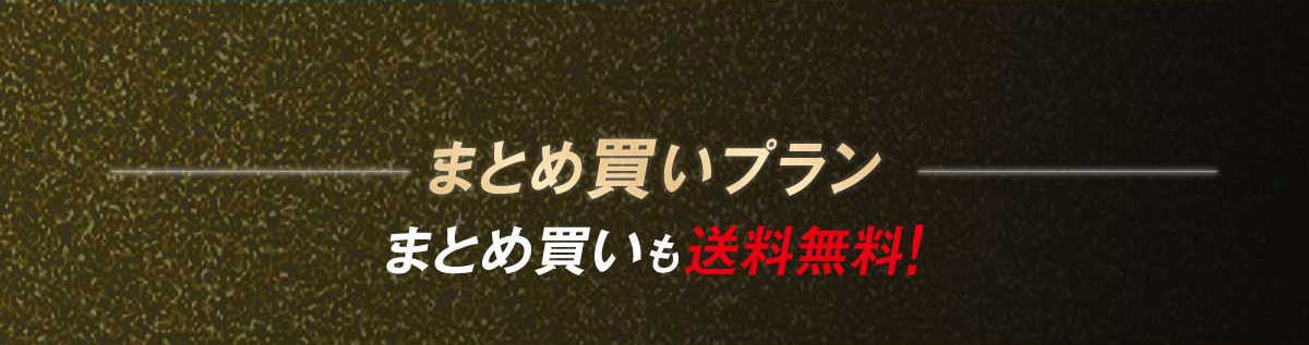 まとめ買いプラン まとめ買いも送料無料！